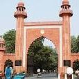 Cosmopolitan Indian - AMU Alumnus Exploring the world