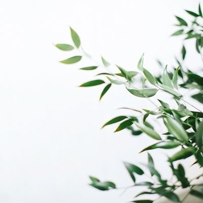 iEz0o_'s profile picture. 