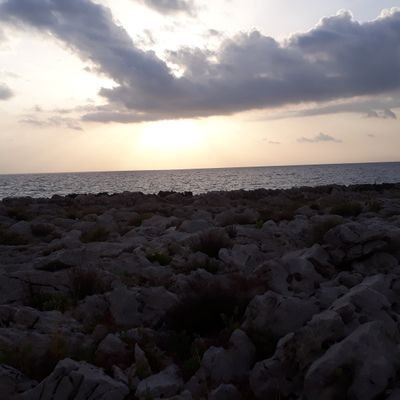 vinz721's profile picture. a mare si
amare bo