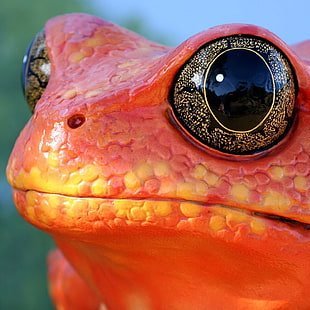 reggaeception's profile picture. shiposting maximalist, mentally ill