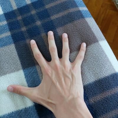 microsoftword04's profile picture. 