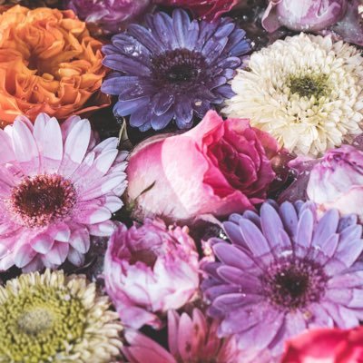 1001aaaaw's profile picture. 