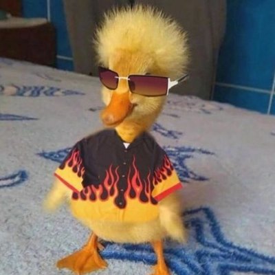 Oscal60394217's profile picture. ,,,,,,