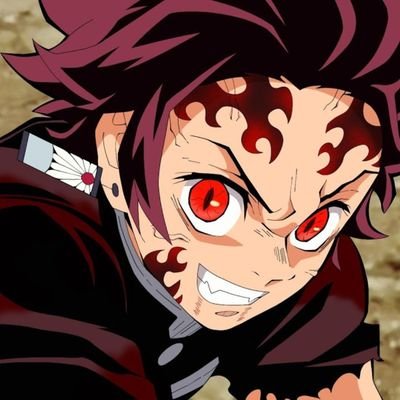 ninox twitter ninox twitter