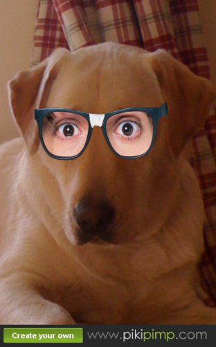 Funny Quotes, by Ruby the dog :-) yes some people may think dogs cant type, but you know, miracles can happen.. Just click the Follow button! :-)