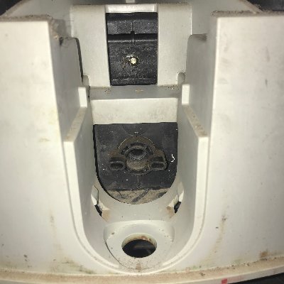 MikaylaShelton5's profile picture. 