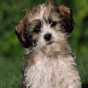 Michelle samano - @msamano19 - Twitter