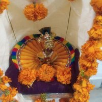 Shubhasini (@shubhasini74) 's Twitter Profile