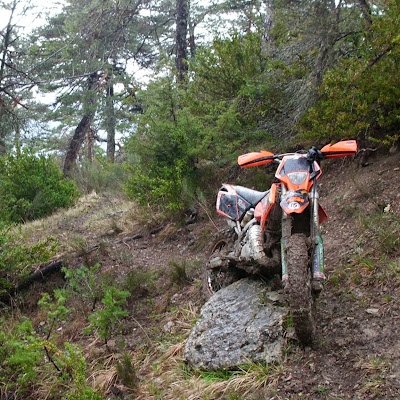 ThierryCt1's profile picture. 