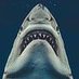 🌊🌊Odin.👽🇺🇸🏳️🌈🇺🇦✊🏽✊🏼✊🏿🌏🐹🐱🐶🚺 (@odin_cobain) Twitter profile photo 🌊🌊Odin.👽🇺🇸🏳️🌈🇺🇦✊🏽✊🏼✊🏿🌏🐹🐱🐶🚺 (@odin_cobain) Twitter profile photo