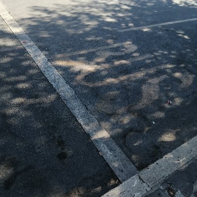 Confusamente alla ricerca di non so ancora cosa