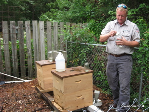 thewinsomeroost's profile picture. Passion for Bee Keeping, Gardening, Sustainable Living.....