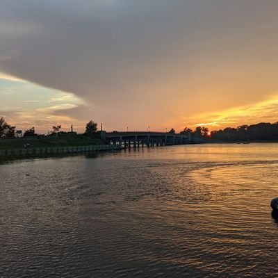 solomonchak's profile picture. Assistant Professor
Biology
Denison University