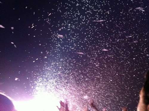 dilemmatoday's profile picture. Seeking sanctuary in the honeyed dark.  @emma@mastodon.me.uk