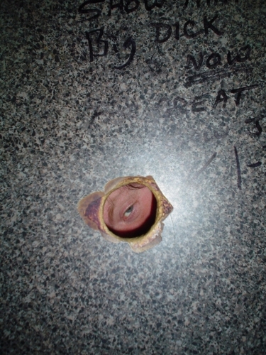 Like glory hole tatoo washington Topic can glory hole tatoo washington consider