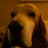 bigt5191's profile image