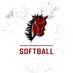 LSN Bronco Softball (@lsnsoftball) Twitter profile photo