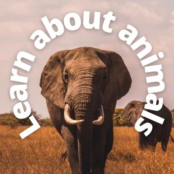 Daily facts and news about the incredible animals we share the planet with! For more in depth content check out our free blog/ newsletter below!