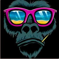 Gorilla 🦍(@Gorilla88113) 's Twitter Profileg