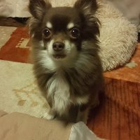 TOSHI KUN NX納車しました (@toshi_kundes) 's Twitter Profile