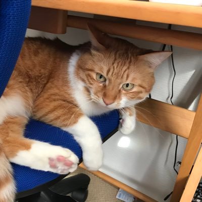 Ys6_Chi_3sister's profile picture. 