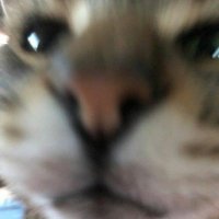 HeenerG (@heenerg) 's Twitter Profile Photo HeenerG (@heenerg) 's Twitter Profile Photo