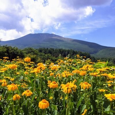 軽井沢町の子どもたちの心と身体が、今よりもっと元気になること✨そして、元気な農産物が育つ大地を未来につなぐこと✨それが私たちの願いです。「給食」を軸に様々な立場の大人たちが大きく繋がり、食の安心安全や環境の話題を共有することで、軽井沢に新しいまちづくりの風が吹きますように🎶