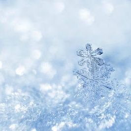 fu888y03's profile picture. Japan Osaka/しがないサラリーマン/大好き！【ぶいすぽっ！/神成きゅぴ🌩】@KaminariQpi