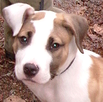 Jean-Francois Poulin