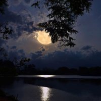 ﮼ن ، (@pretty52) Twitter profile photo