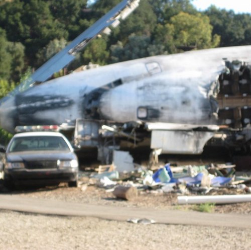 TheBugLog's profile picture. 