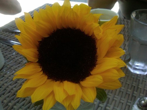 ginamborea's profile picture. Live, Love and Laugh and ALWAYS Smile