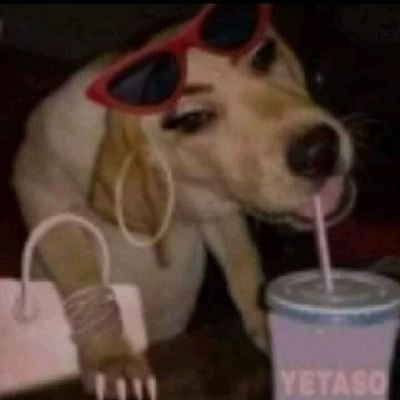 hstylsve's profile picture. 