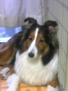 dbWtuajBCQMGoLD's profile picture. やっと年金生活