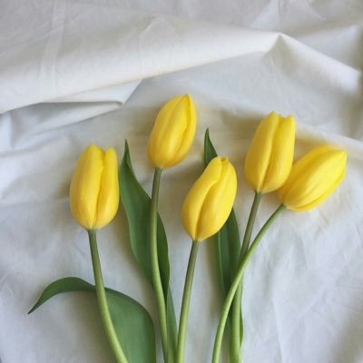 Hii517929's profile picture. 閲覧用