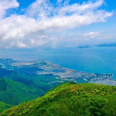 poko11542890's profile picture. 