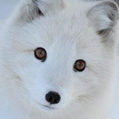 hkhuFI0aIQRSoIJ's profile picture. 