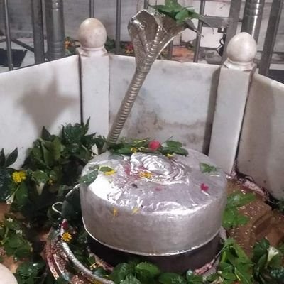 tf8s7's profile picture. जय श्री राम