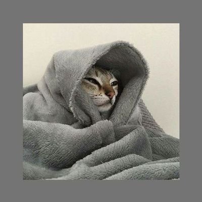 manusyabajah's profile picture. me and my comfort zone ✨