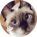 のべ子とシャム猫あずきさん (@yamanobejin) Twitter profile photo