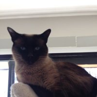 J h (@bbs44b) 's Twitter Profile