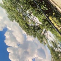スティンクパン (@towae_kun) 's Twitter Profile