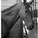 Sharon Rexford - @frillylilfilly - Twitter