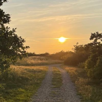 pnpnkiki's profile picture. 1998 Age:27夢垢