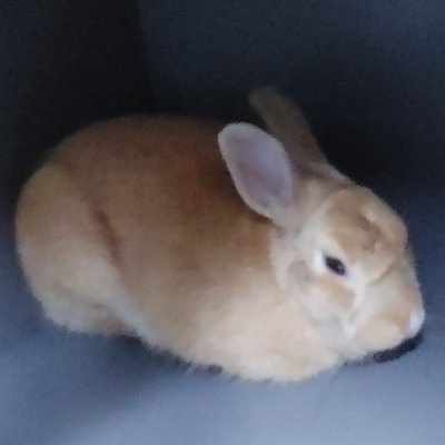 lcuO3ab280ECOsc's profile picture. 