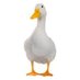 DUCKMAN (@boat_233) Twitter profile photo DUCKMAN (@boat_233) Twitter profile photo