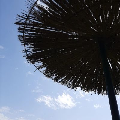 ceballossevilla's profile picture. Andaluz y sevillano,  comunicativo, nada pragmático y tópico, mwg . Donde se pongan unos buenos garbanzos  que se quite la política. sfc.