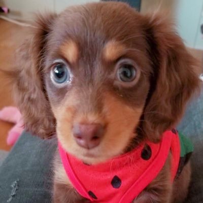 Leonard55641272's profile picture. Ruka姉2021.6.18♡Reo弟2023.2.21