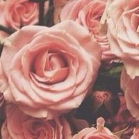 wwdysjmwlmhkh (@rjrj1919) 's Twitter Profile