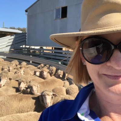 Chair Western Australian Livestock Research Council (WALRC) and Murdoch University - sheep research